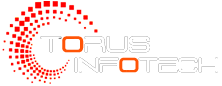 Torusinfotech website development company in india